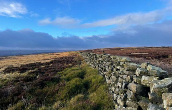 Moorland at Rudland Rigg - North York Moors