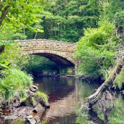 West Beck River & Bridge near Goathland