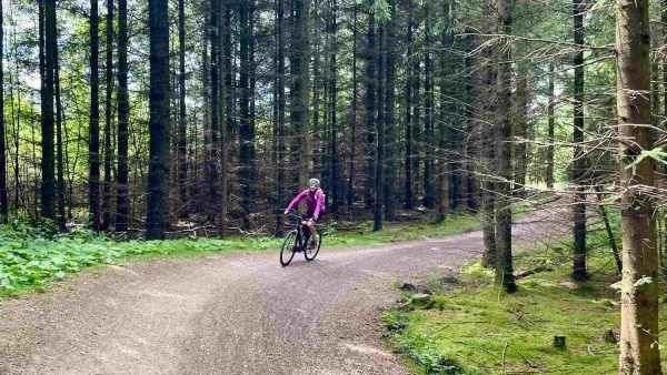 Forest Cycling Trails at Sutton Bank