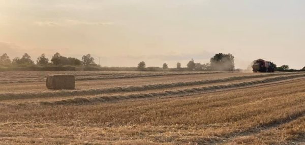 Farming at Harome