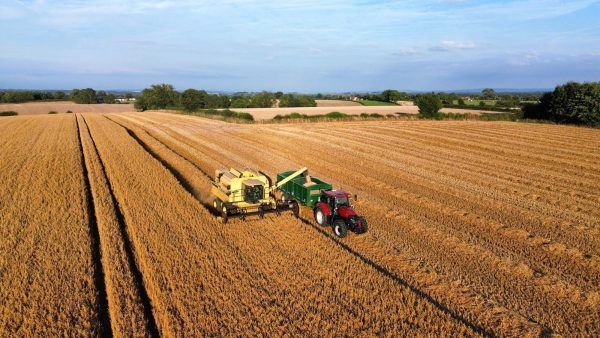 Harvest time at Harome