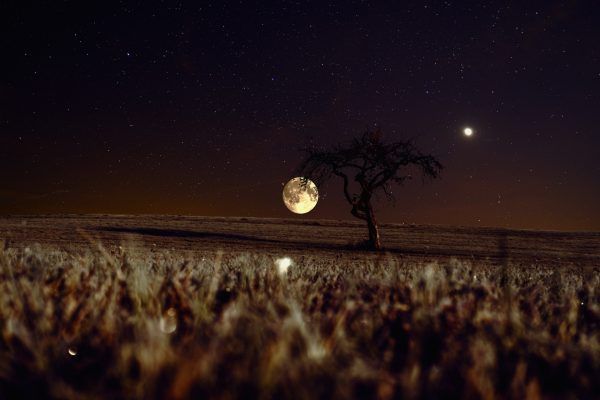 The Harvest Moon