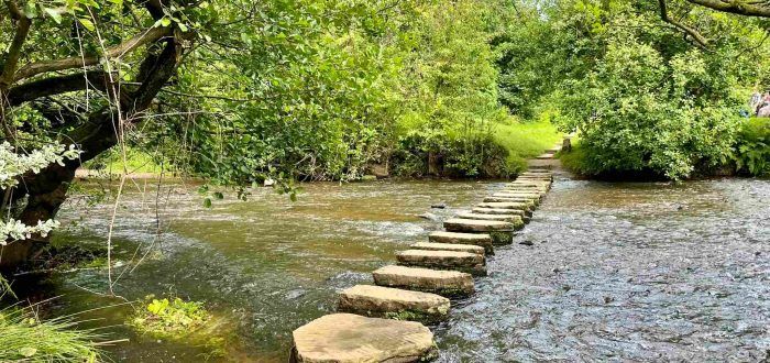 Lealholm Stepping Stones