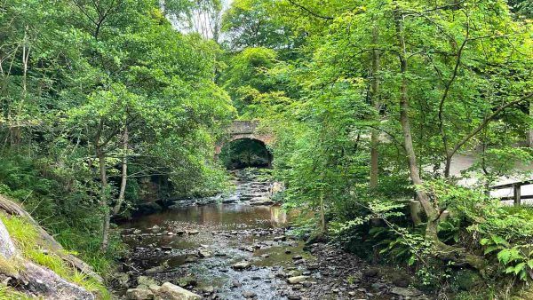 North York Moors - River near Faling Foss